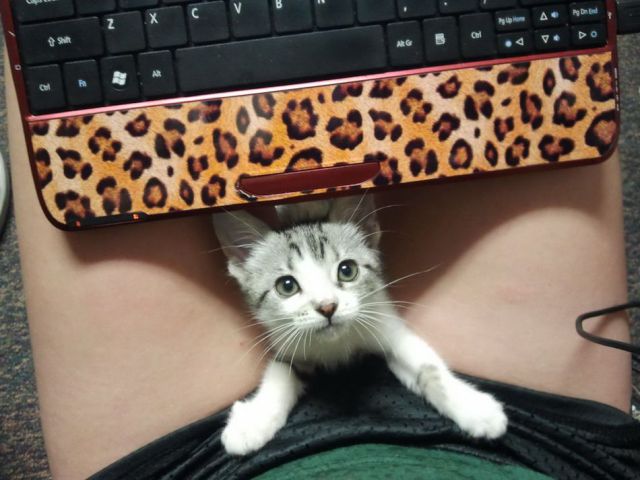 daily picdump 98 pics 28.html - 98 HD Photos | Premium Gallery 2012