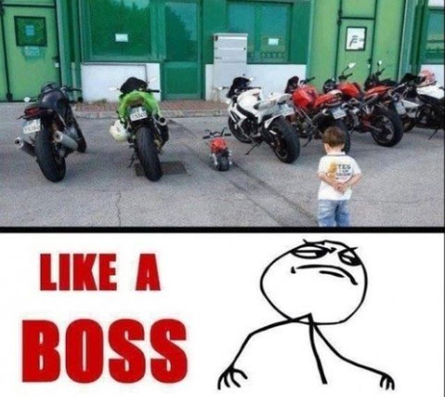 daily picdump 98 pics 28.html - 98 HD Photos | Premium Gallery 2012