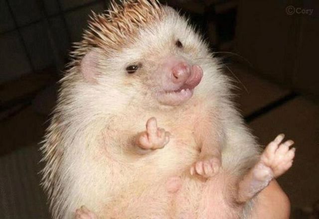 morning picdump 53 pics 23.html - 53 HD Photos | Premium Gallery 2012