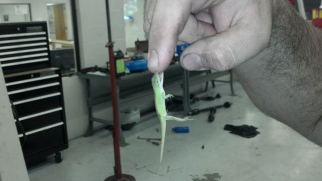 morning picdump 53 pics 23.html - 53 HD Photos | Premium Gallery 2012