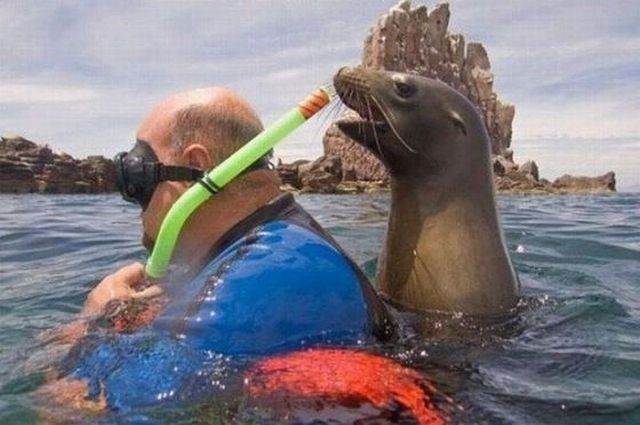 morning picdump 53 pics 23.html - 53 HD Photos | Premium Gallery 2012