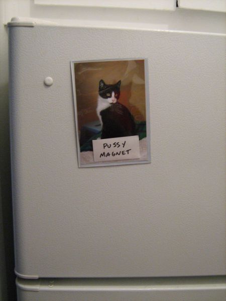 morning picdump 53 pics 23.html - 53 HD Photos | Premium Gallery 2012