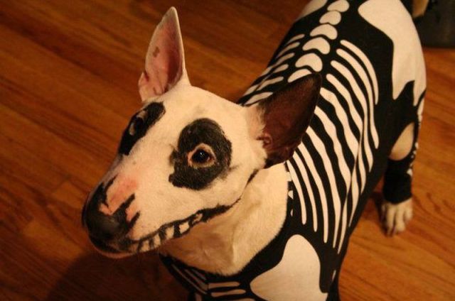 Daily Picdump [WEEKEND EDITION]