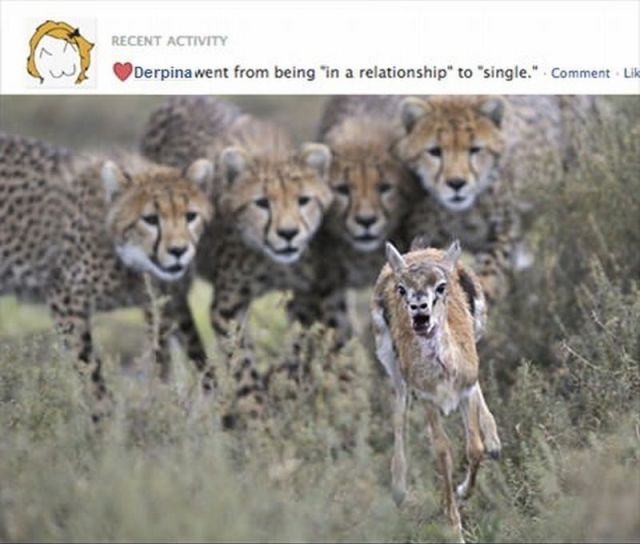 Daily Picdump [WEEKEND EDITION]