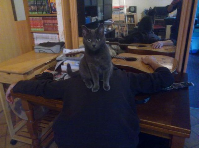 Daily Picdump [WEEKEND EDITION]