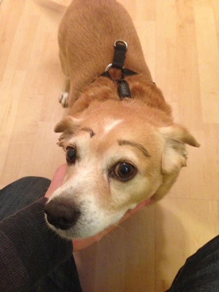 daily picdump weekend edition 94 pics 9.html - 94 HD Photos | Premium Gallery 2012