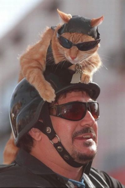 morning picdump 55 pics 12.html - 55 HD Photos | Premium Gallery 2012