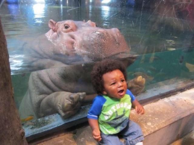 morning picdump 55 pics 36.html - 55 HD Photos | Premium Gallery 2012