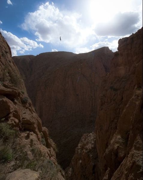 Are You This Brave? Or Gutsy Girl Sets Tightrope Record!