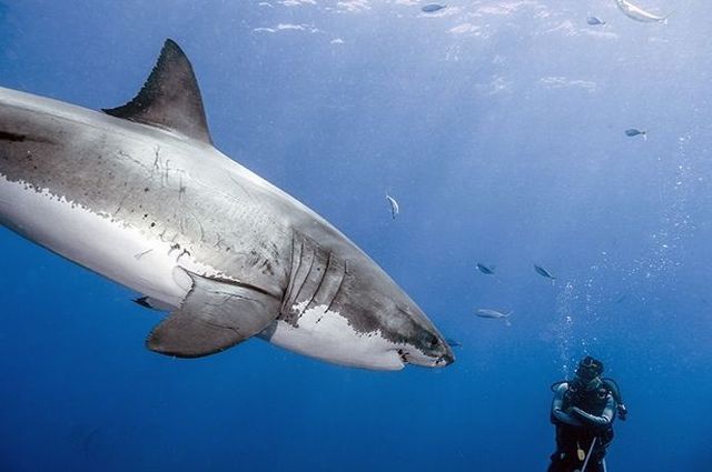 morning picdump 52 pics 5.html - 52 HD Photos | Premium Gallery 2012