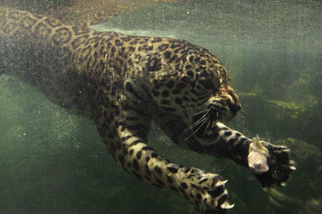 morning picdump 52 pics 5.html - 52 HD Photos | Premium Gallery 2012