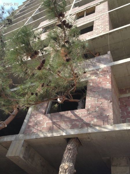 morning picdump 52 pics 5.html - 52 HD Photos | Premium Gallery 2012