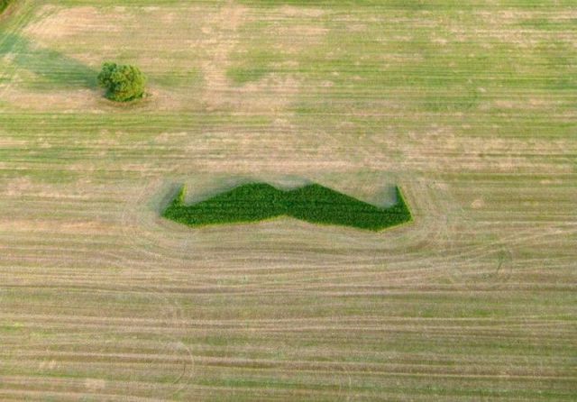 morning picdump 50 pics 9.html - 50 HD Photos | Premium Gallery 2012