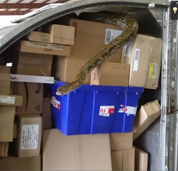 morning picdump 50 pics 9.html - 50 HD Photos | Premium Gallery 2012