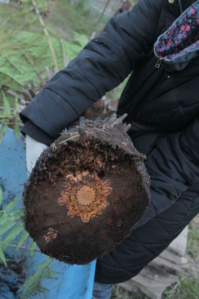 morning picdump 50 pics 9.html - 50 HD Photos | Premium Gallery 2012