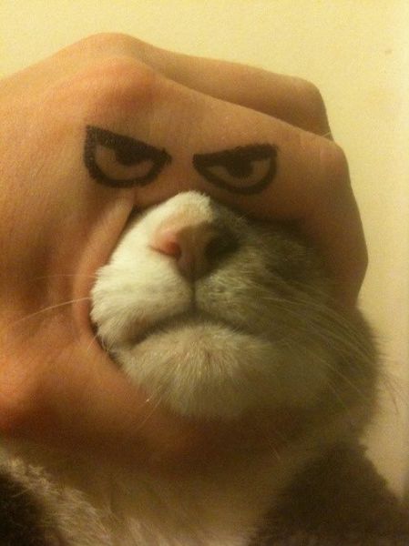 morning picdump 50 pics 9.html - 50 HD Photos | Premium Gallery 2012