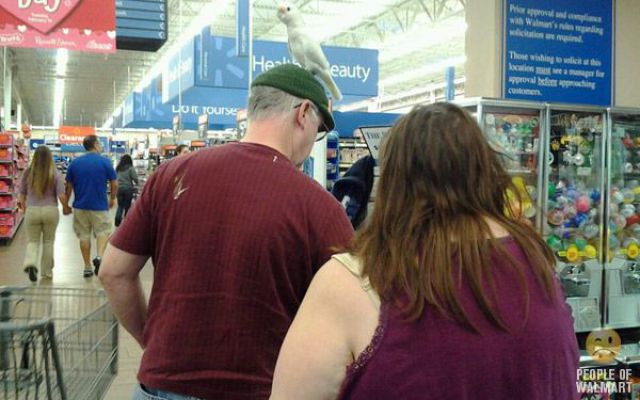 What You Can See in Walmart. Part 18
