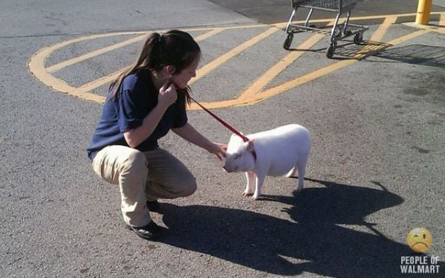 What You Can See in Walmart. Part 18