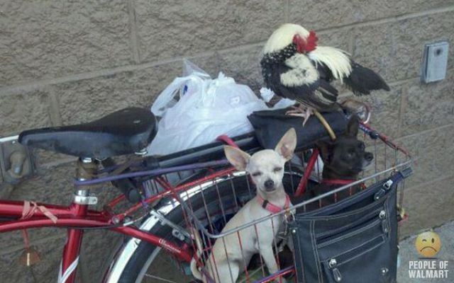 What You Can See in Walmart. Part 18