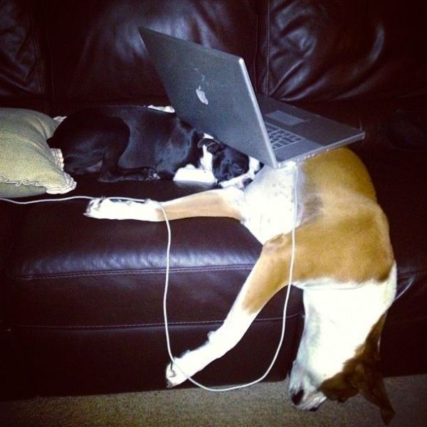 daily picdump 107 pics 2.html - 107 HD Photos | Premium Gallery 2012