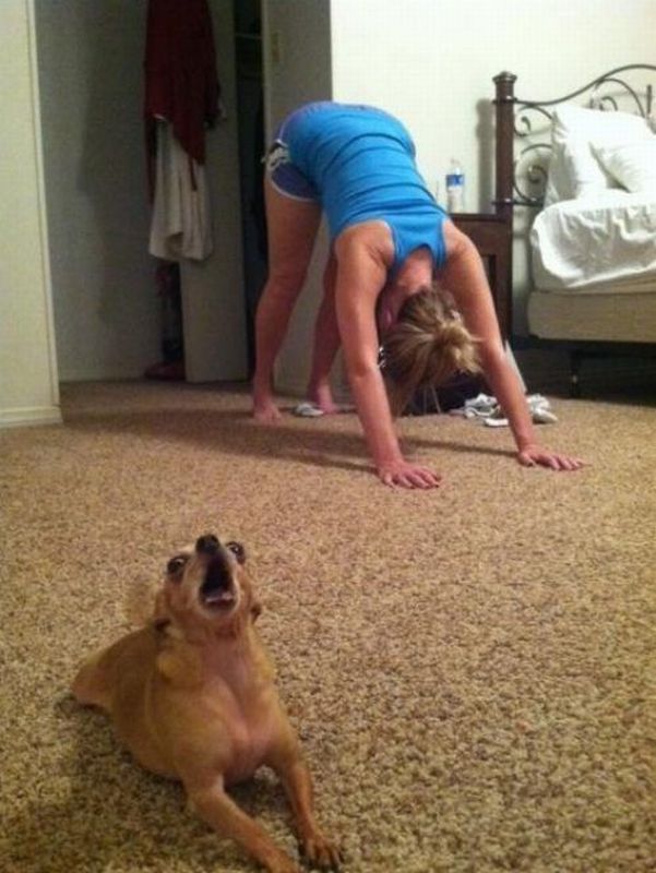 daily picdump 107 pics 2.html - 107 HD Photos | Premium Gallery 2012