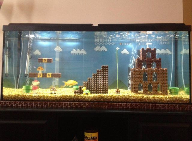 morning picdump 52 pics 4.html - 52 HD Photos | Premium Gallery 2012