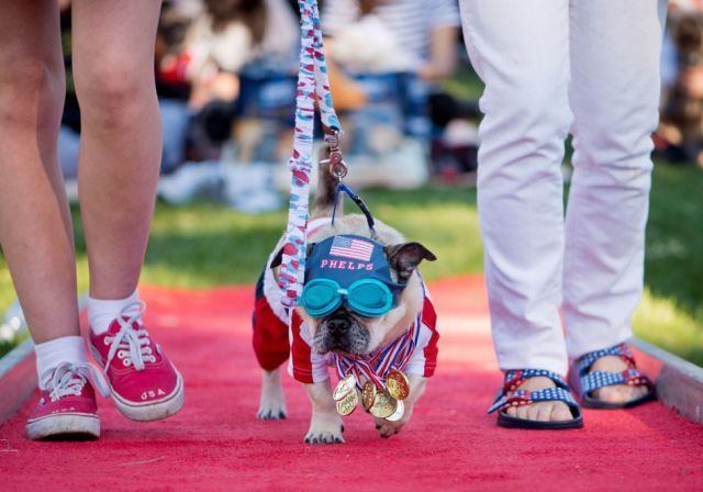 morning picdump 52 pics 4.html - 52 HD Photos | Premium Gallery 2012