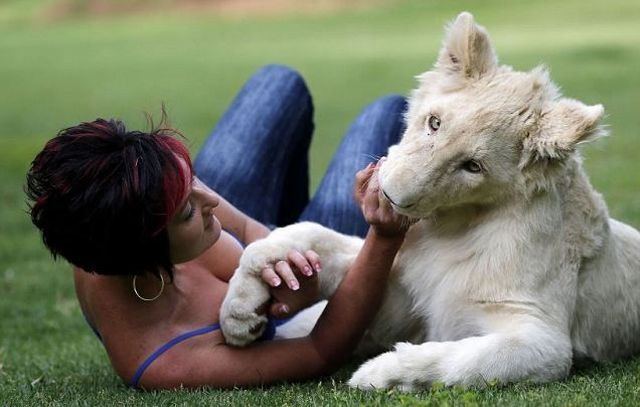 morning picdump 52 pics 4.html - 52 HD Photos | Premium Gallery 2012