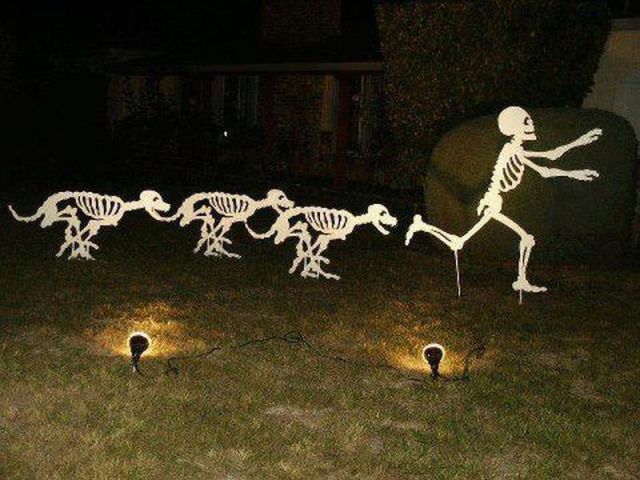 morning picdump 52 pics 4.html - 52 HD Photos | Premium Gallery 2012