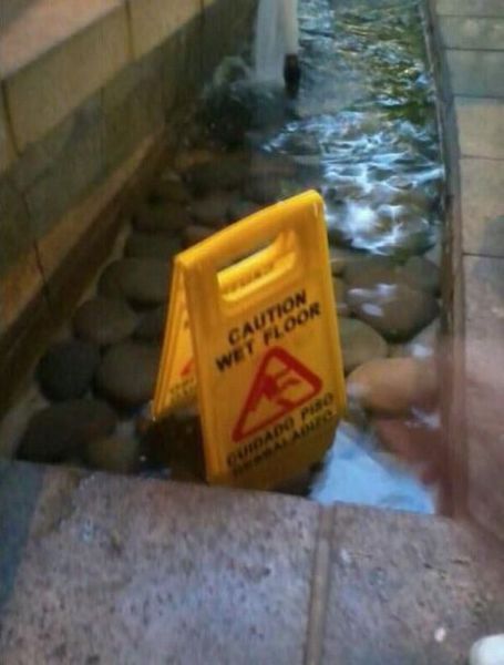 morning picdump 52 pics 4.html - 52 HD Photos | Premium Gallery 2012