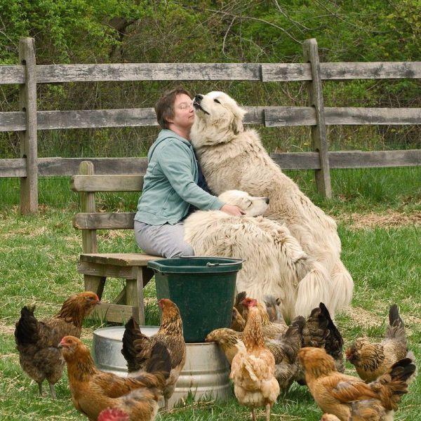 morning picdump 52 pics 4.html - 52 HD Photos | Premium Gallery 2012