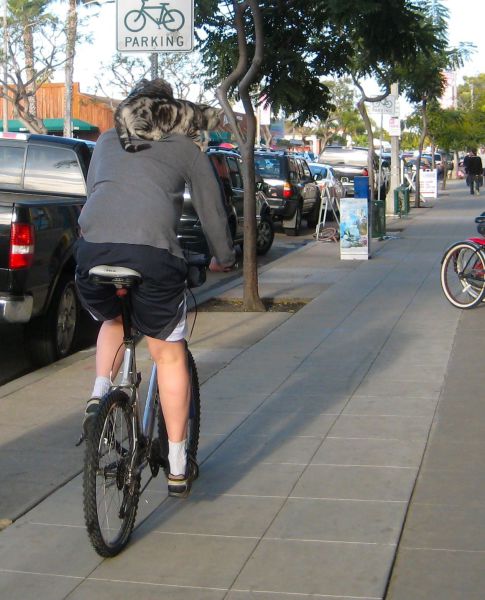 morning picdump 51 pics 11.html - 51 HD Photos | Premium Gallery 2012