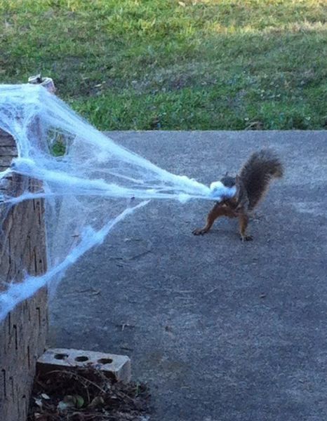 morning picdump 51 pics 11.html - 51 HD Photos | Premium Gallery 2012