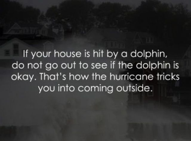 morning picdump 51 pics 11.html - 51 HD Photos | Premium Gallery 2012