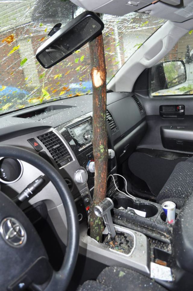 morning picdump 51 pics 11.html - 51 HD Photos | Premium Gallery 2012