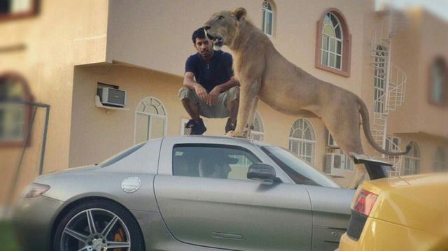 daily picdump 90 pics 32.html - 90 HD Photos | Premium Gallery 2012