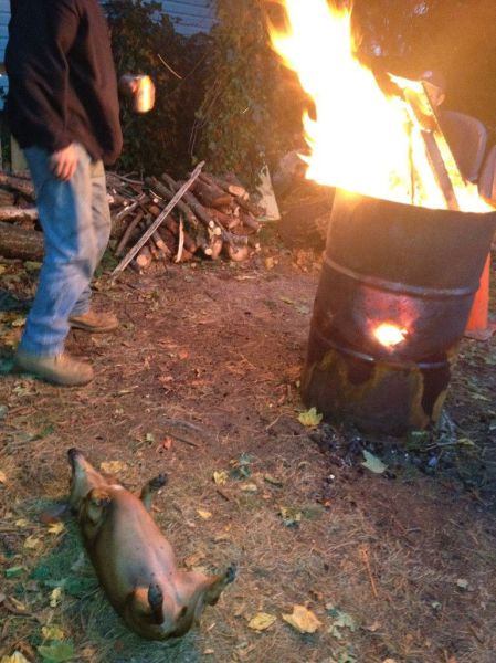 daily picdump 90 pics 32.html - 90 HD Photos | Premium Gallery 2012