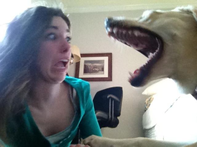 daily picdump 90 pics 32.html - 90 HD Photos | Premium Gallery 2012