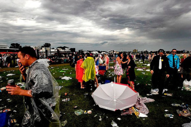 Melbourne Cup Chaos!