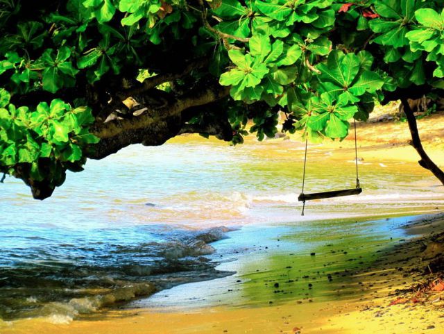 morning picdump 52 pics 14.html - 52 HD Photos | Premium Gallery 2012