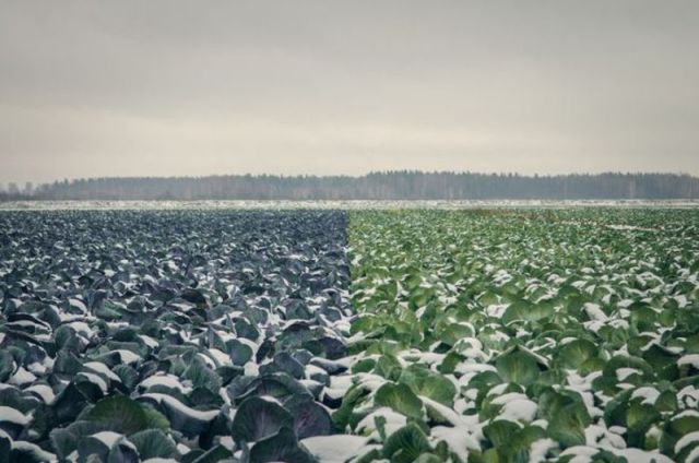 morning picdump 52 pics 14.html - 52 HD Photos | Premium Gallery 2012