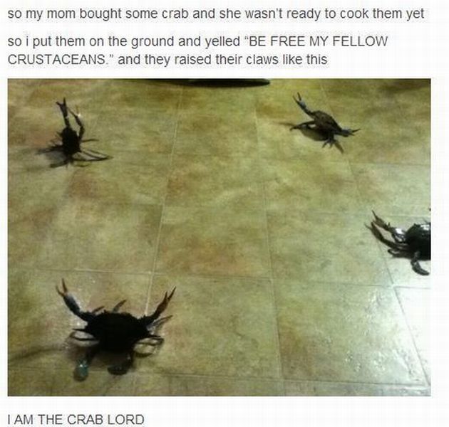 morning picdump 52 pics 14.html - 52 HD Photos | Premium Gallery 2012