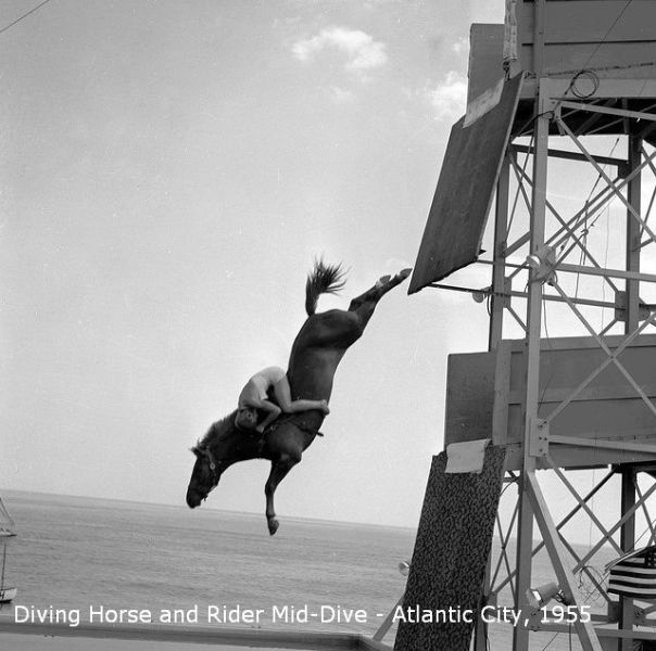 morning picdump 53 pics 7.html - 53 HD Photos | Premium Gallery 2012