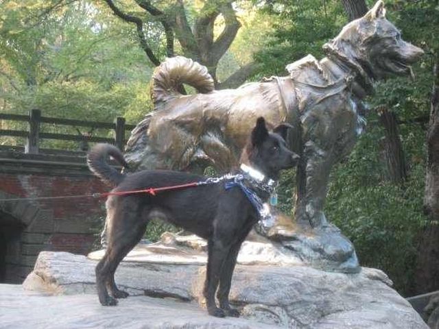 morning picdump 53 pics 7.html - 53 HD Photos | Premium Gallery 2012