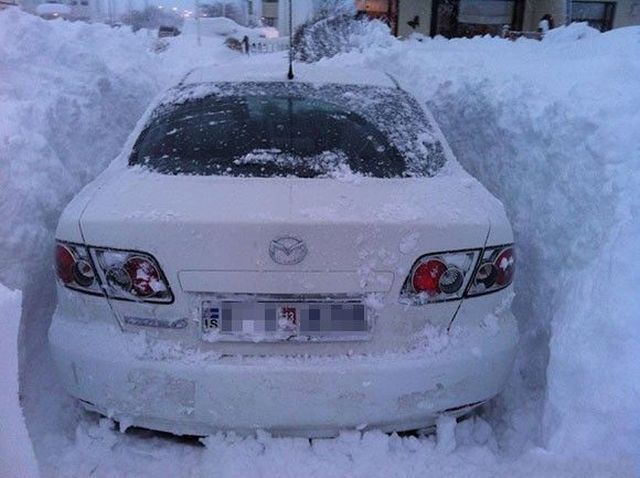 morning picdump 53 pics 7.html - 53 HD Photos | Premium Gallery 2012