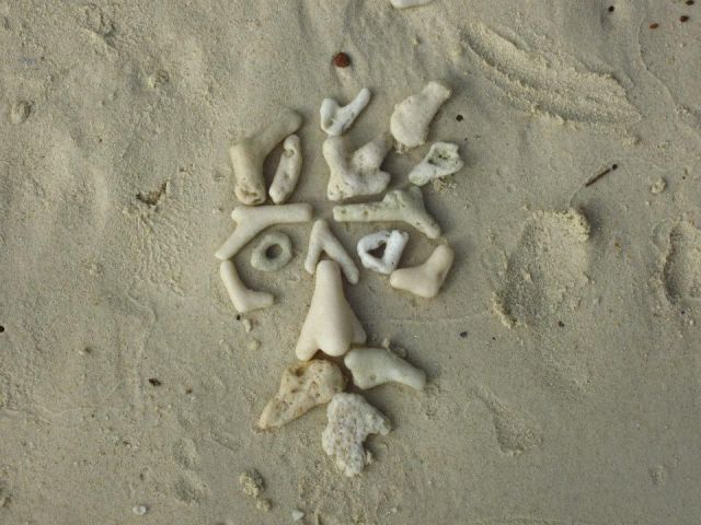 morning picdump 53 pics 7.html - 53 HD Photos | Premium Gallery 2012