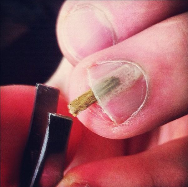 morning picdump 53 pics 21.html - 53 HD Photos | Premium Gallery 2012