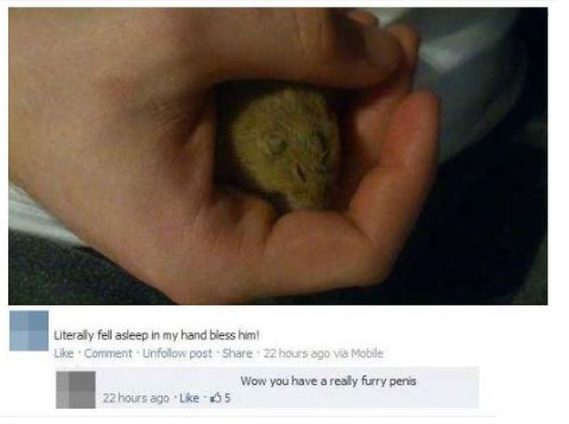 morning picdump 53 pics 21.html - 53 HD Photos | Premium Gallery 2012