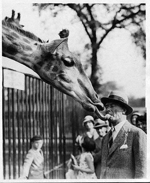 morning picdump 53 pics 21.html - 53 HD Photos | Premium Gallery 2012