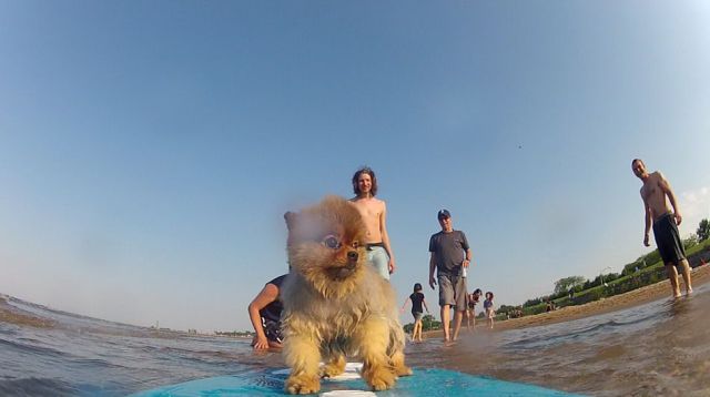 Daily Picdump [WEEKEND EDITION]